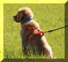 chap track 3.jpg (696198 bytes)