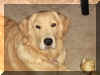 Bailey Rice 8 months.jpg (1341867 bytes)