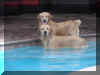 Breeze and Kolby.jpg (2630627 bytes)