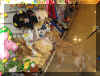 Jazz's first PetSmart Visit..JPG (2449792 bytes)