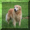 Karma 9 years old September 2008.jpg (997199 bytes)