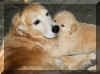 Karma and Lily.jpg (143329 bytes)