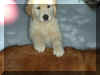 Max on Duff Back.jpg (79873 bytes)