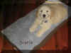 charlie blankie.jpg (41014 bytes)